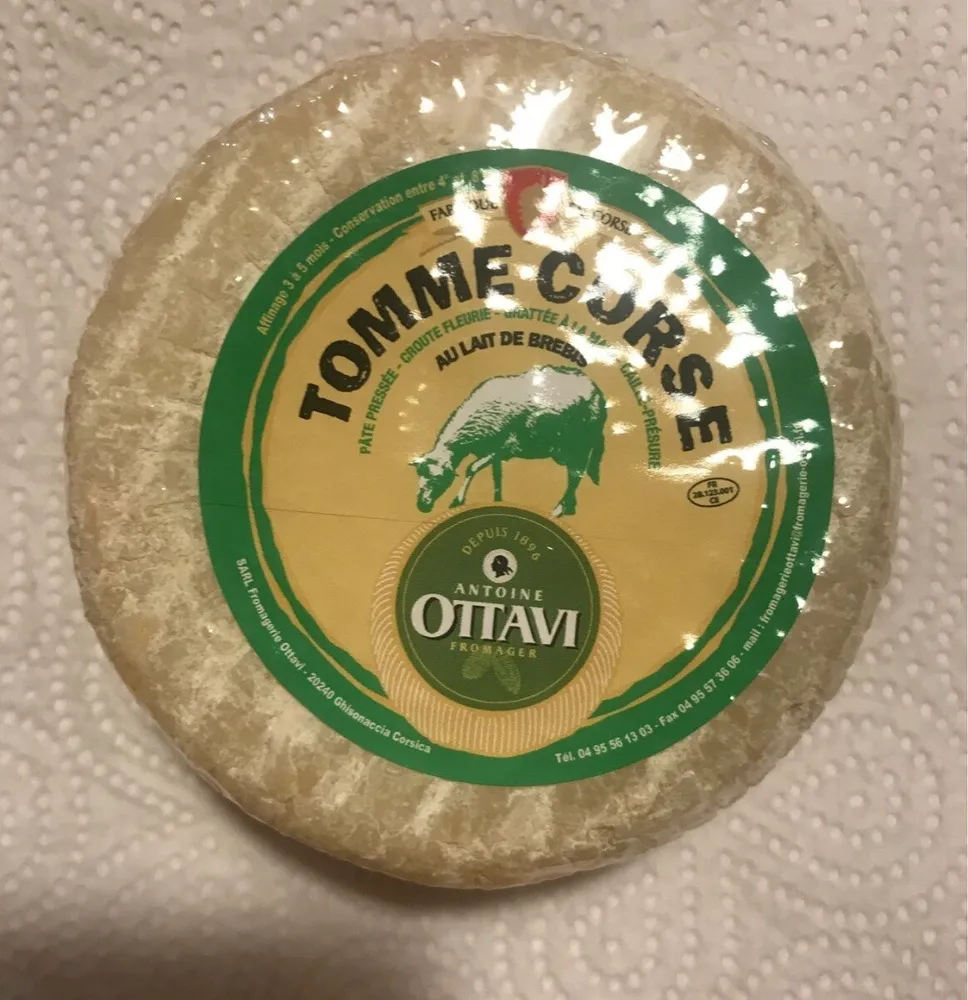 Tomme corse
