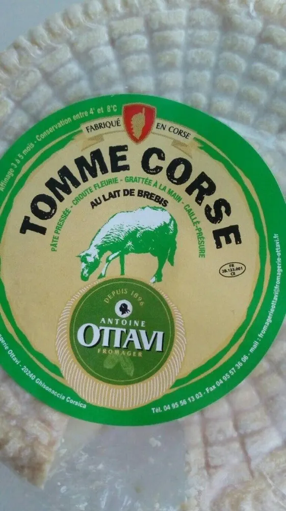 Tomme corse
