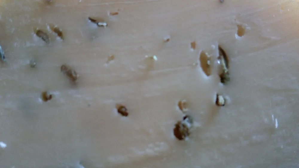 Gouda au cumin