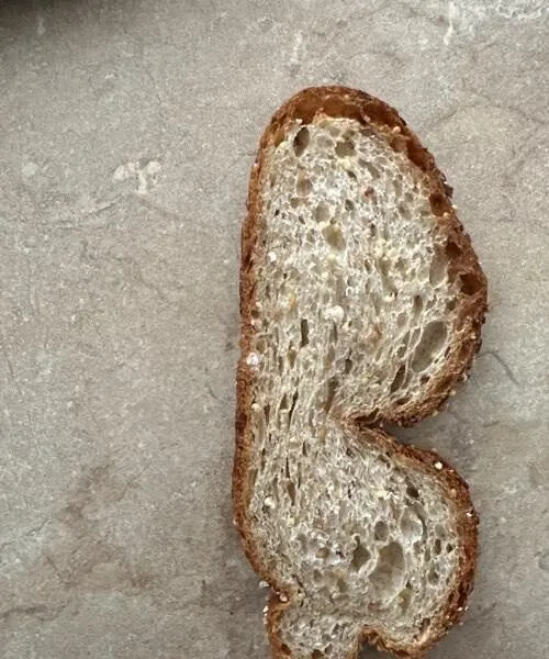 Pain aux graines