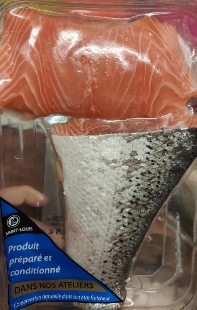 Salmon