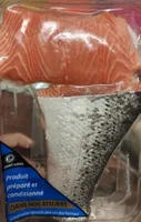 Salmon
