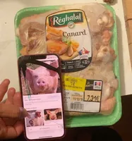 Canard