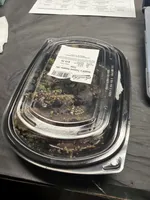 Toasted Sesame Ahi