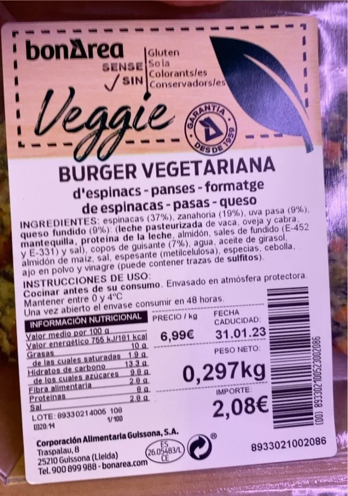 Burguer vegetariana