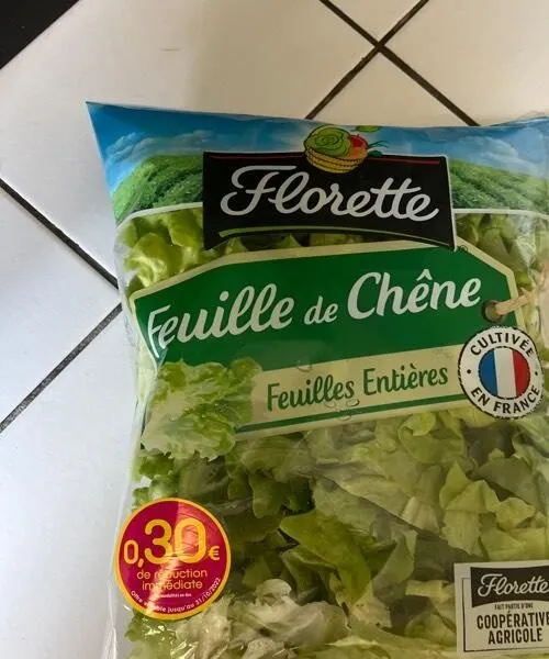 Feuille de chêne Florette