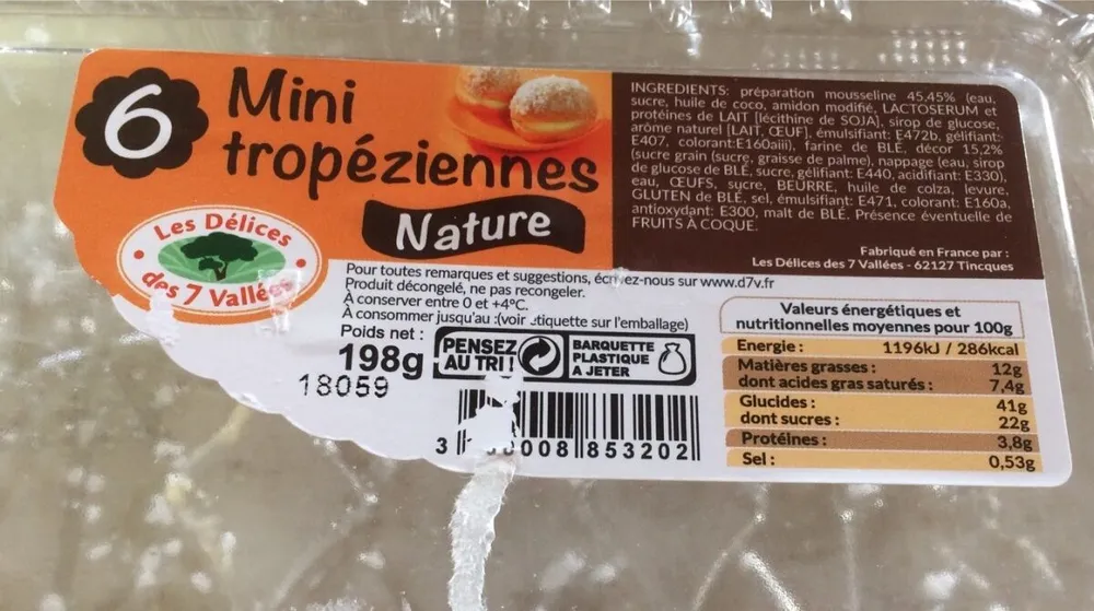 Mini tropeziennes