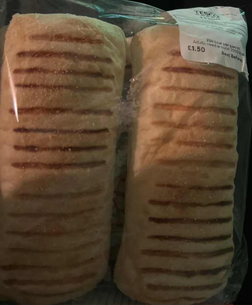 Panini