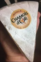 Chamois d'or