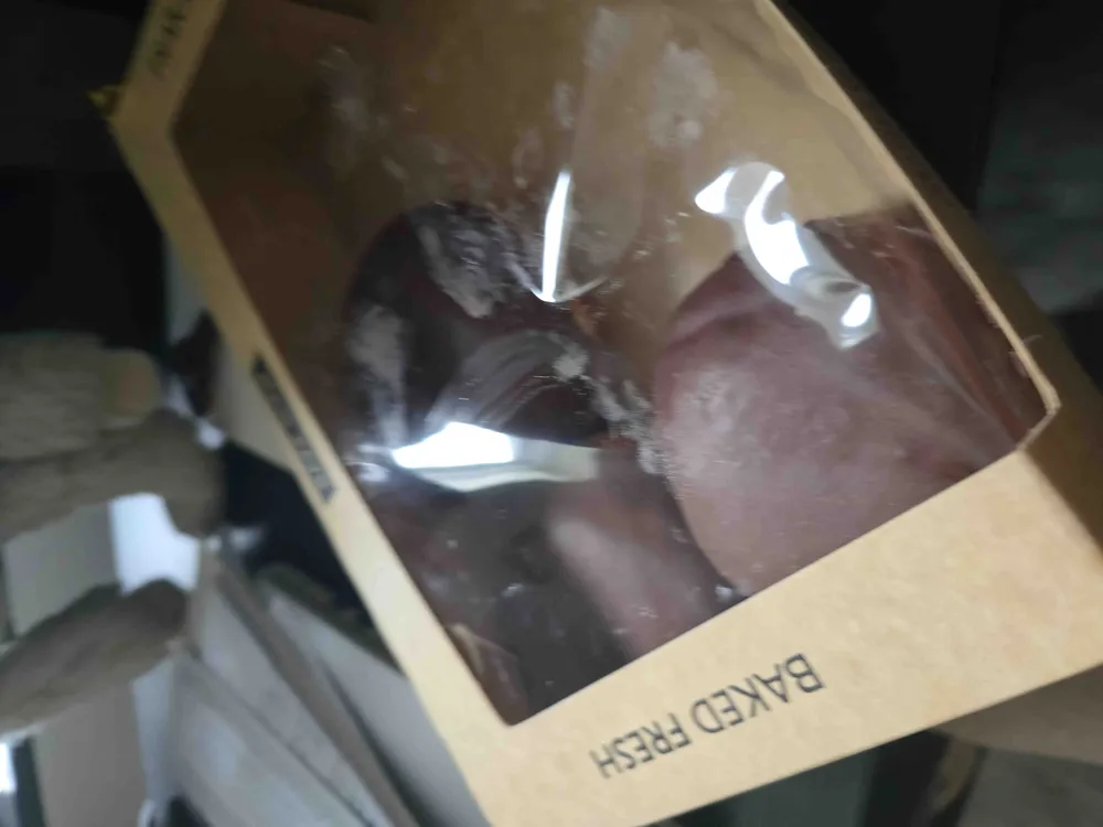 Chocolate Boston Cream Donut