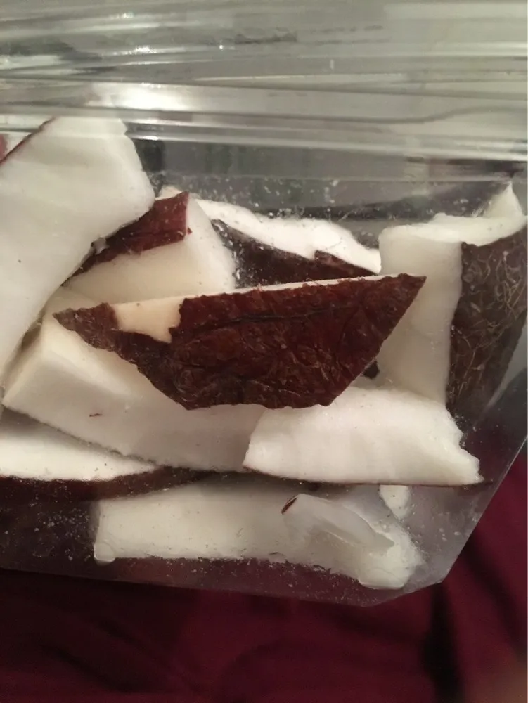 Noix de coco en morceaux
