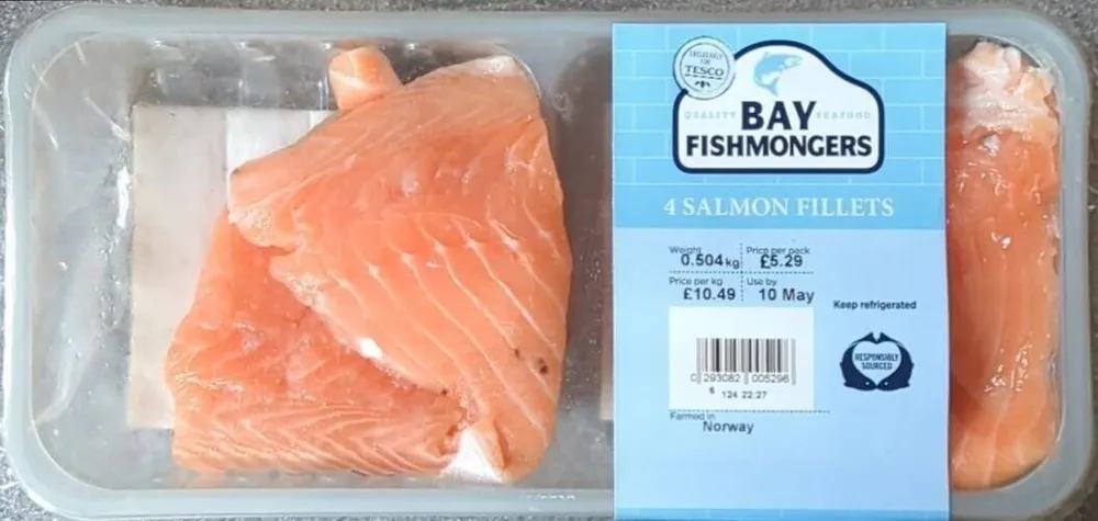 Salmon Fillets