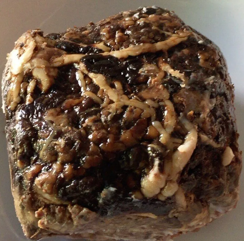 Fricandeau