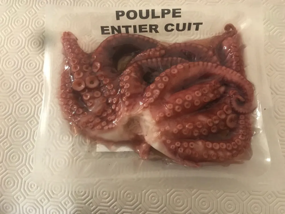 Poulpe cuit entier