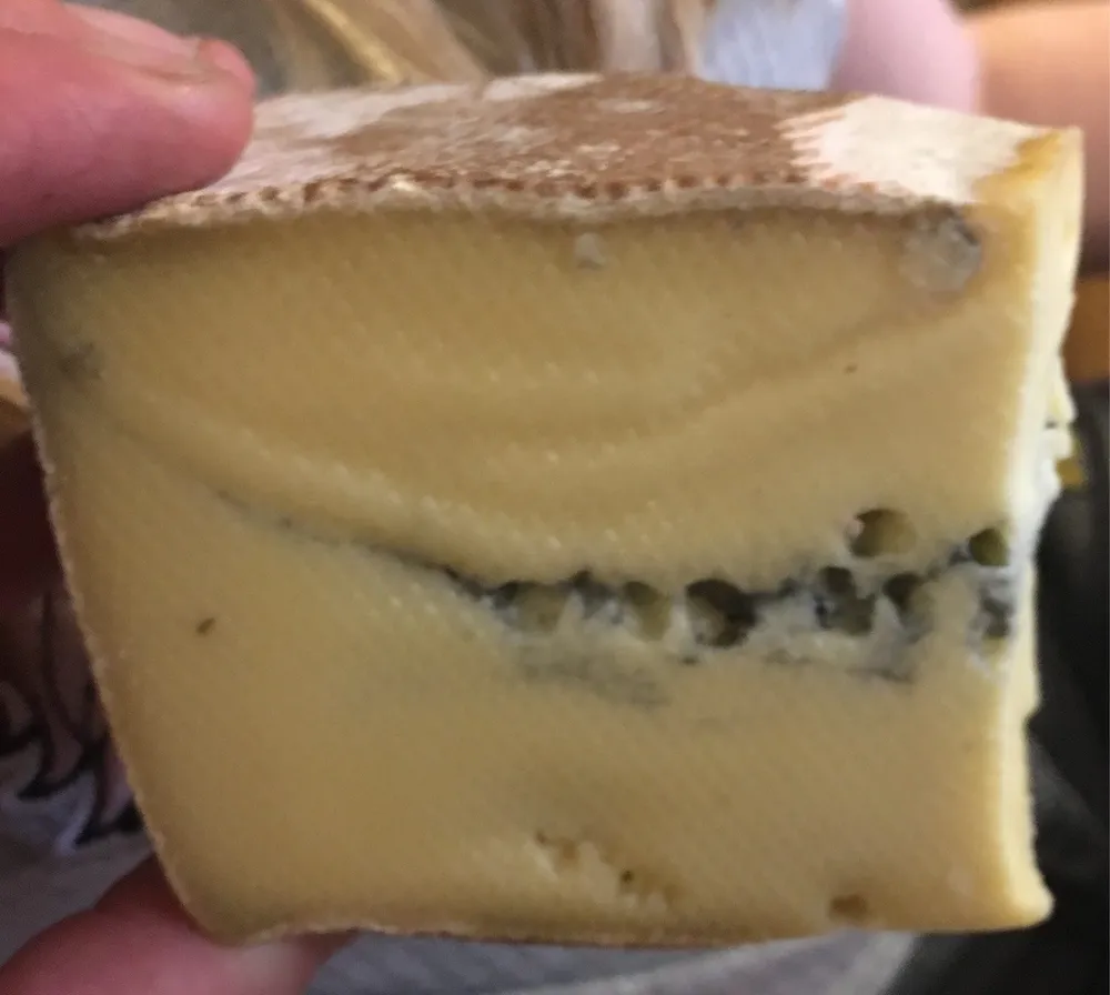Morbier jeune