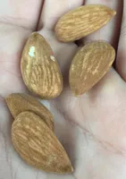 Amandes bio leclerc