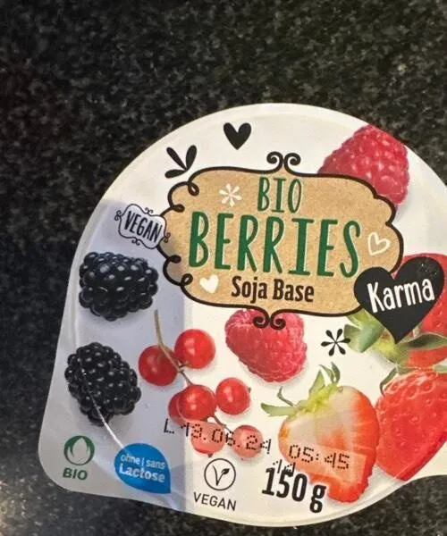 Yogourt bio berries soja