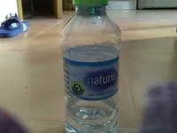 Natrius