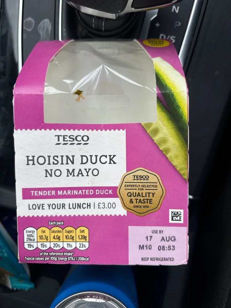Hoisin Duck No Mayo