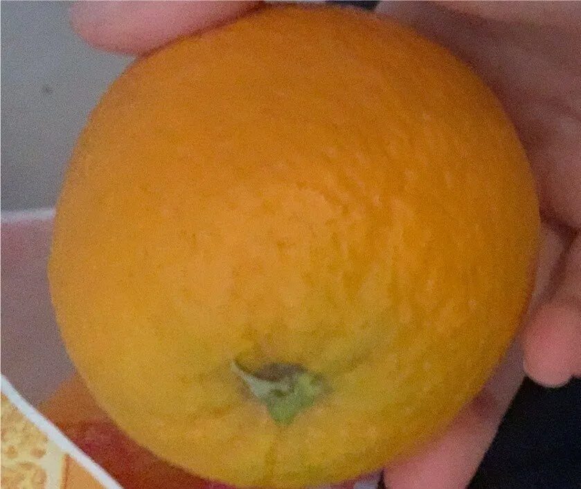 Orange à jus