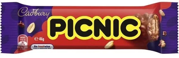 PICNIC