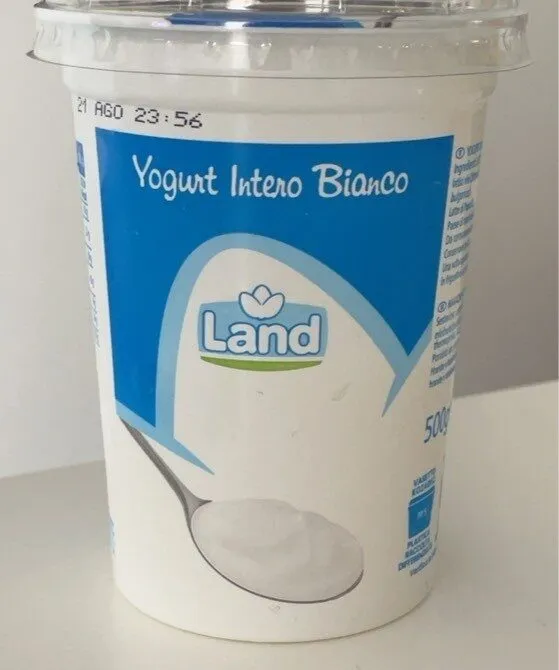 Yogurt intero bianco