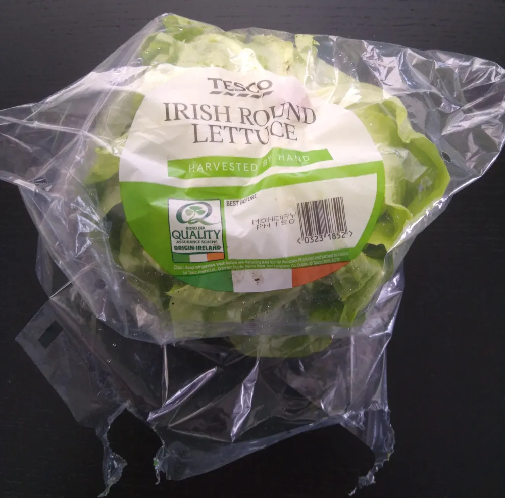 Irish Round Lettuce