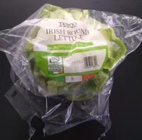 Irish Round Lettuce
