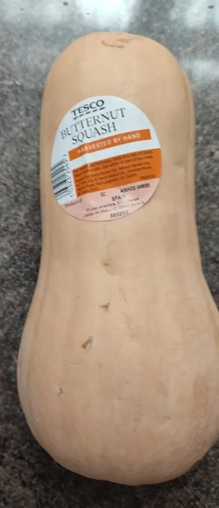 Butternut squash