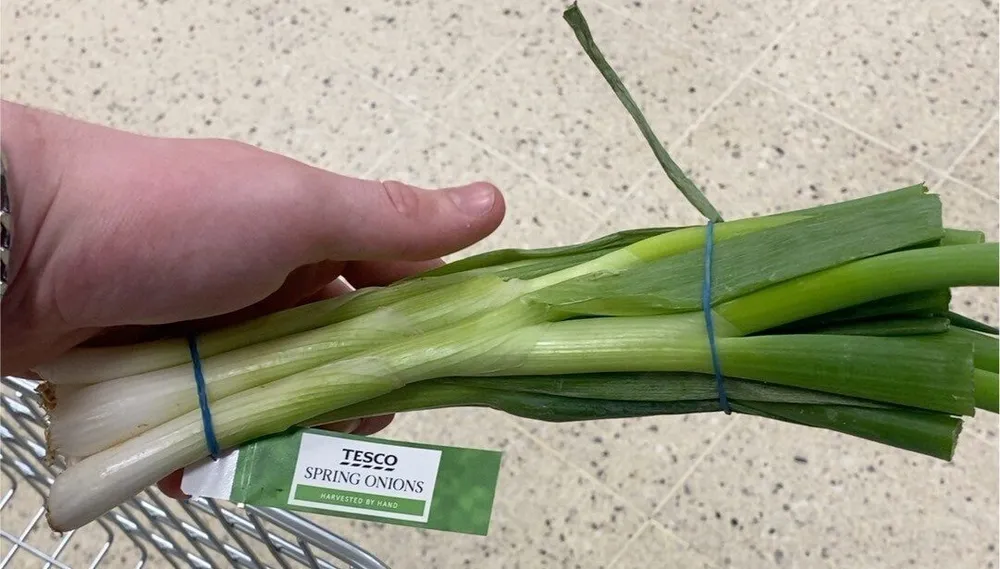 Spring onions