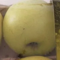 Golden delicious apples