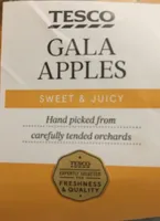 Tesco Gala Apples