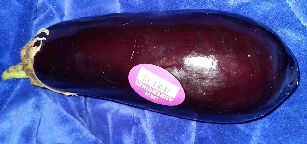 Aubergine