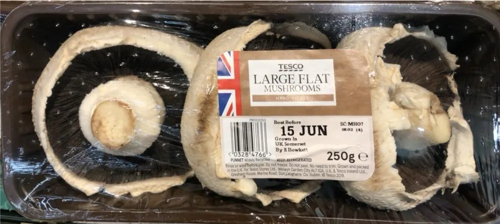 Large flat mushrooms