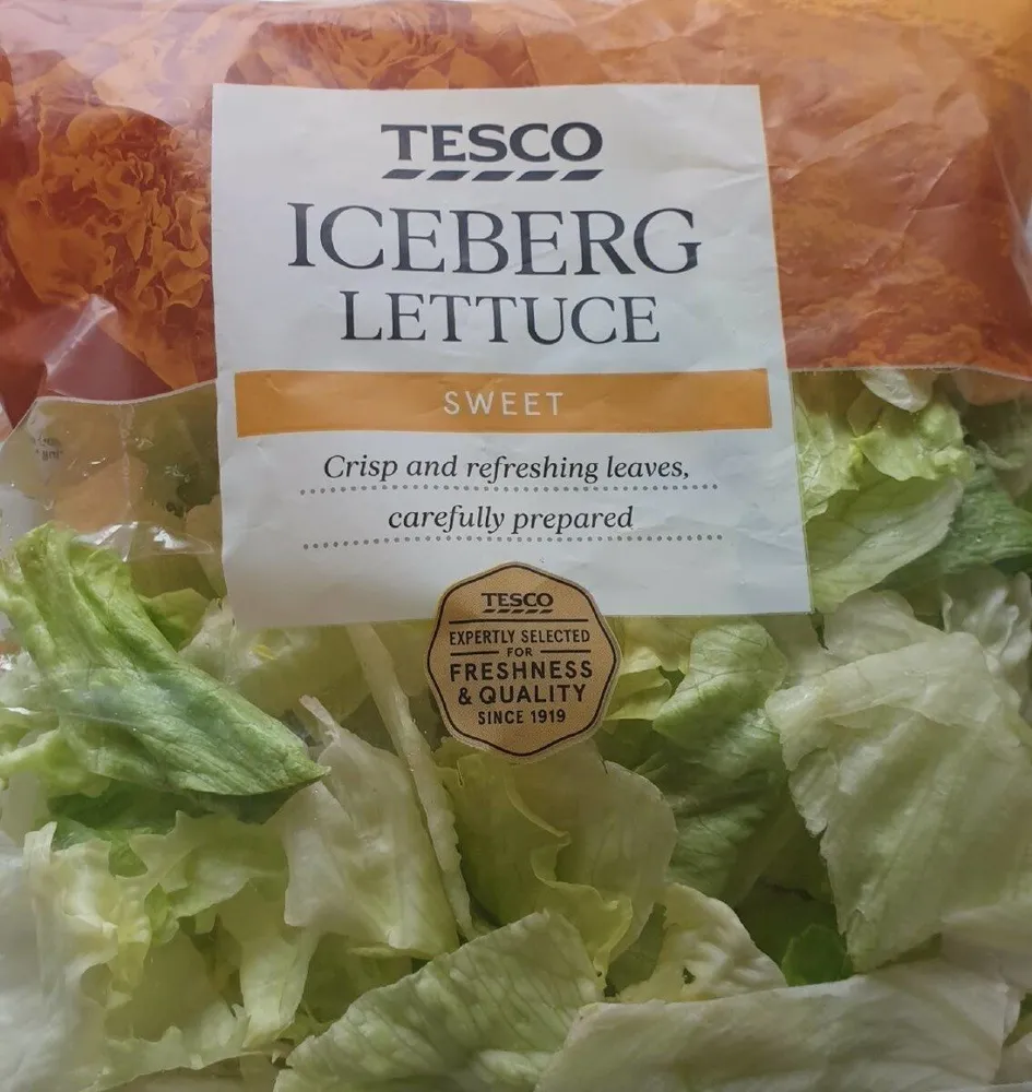 Iceberg lettuce