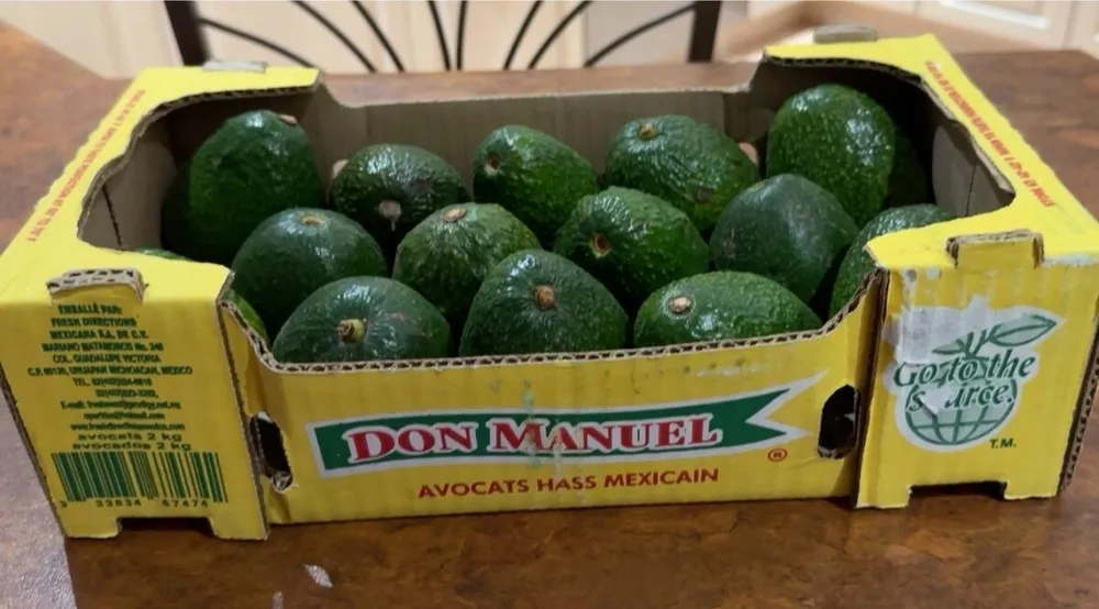 Avocats