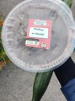 Moelleux au chocolat