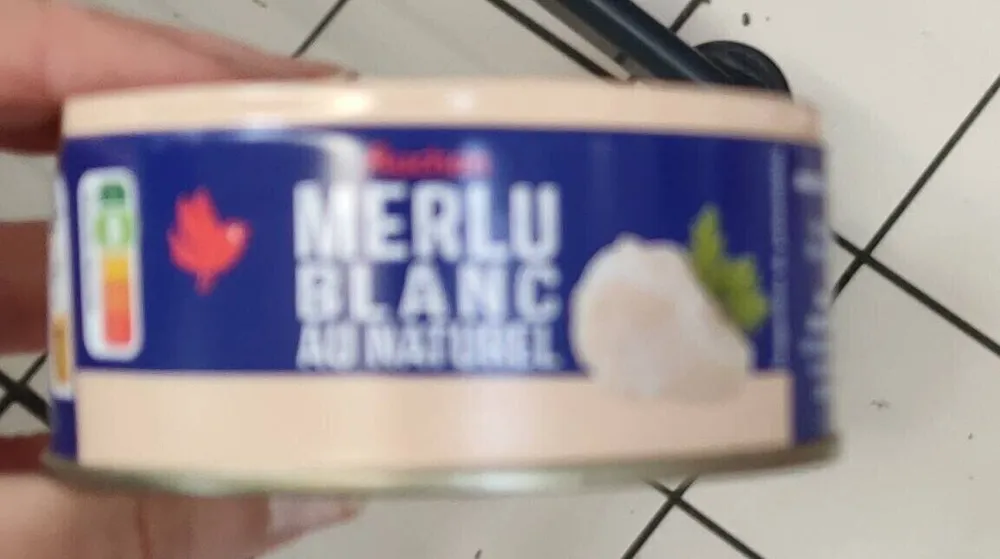 Merlu blanc
