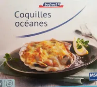 Coquilles océane
