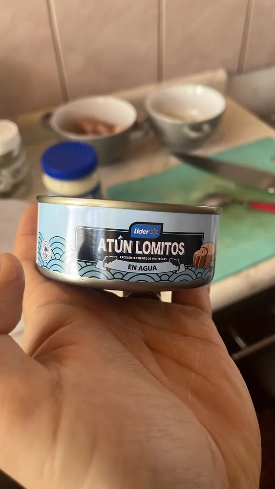 ATÚN LOMITOS EN AGUA