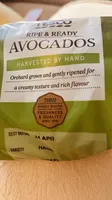 Ripe & Ready Avocados