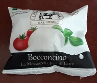 Bocconcino la mozzarella fior di latte