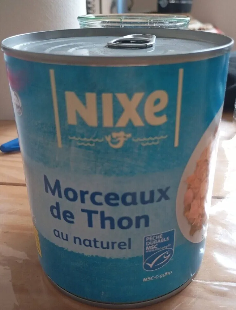 Morceaux de thon au naturel