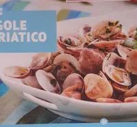 Vongole dell adriatico