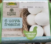 Uova