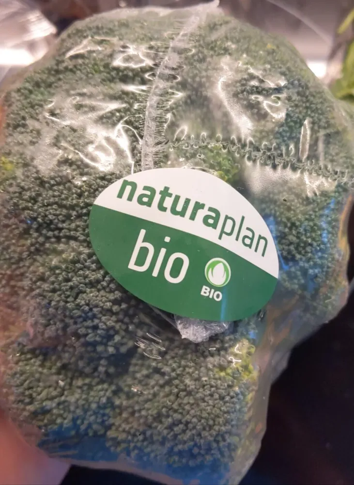 Brocolis bio