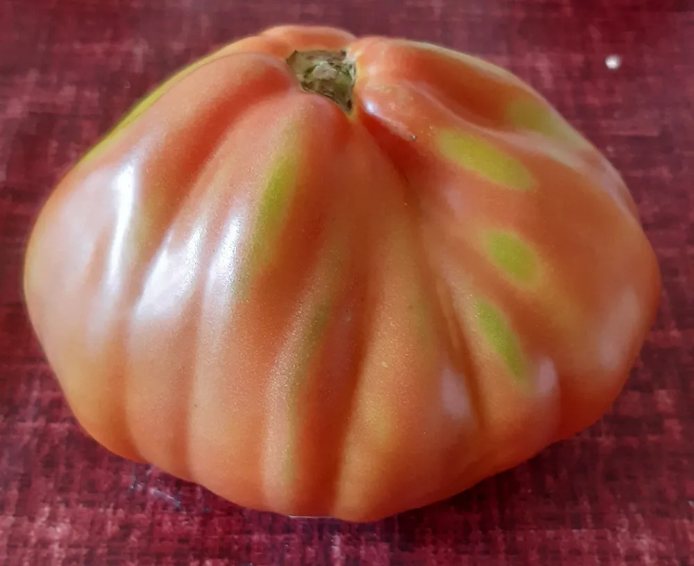 Bio Coeur de Boeuf