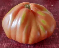 Bio Coeur de Boeuf