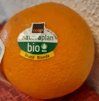 Orangen