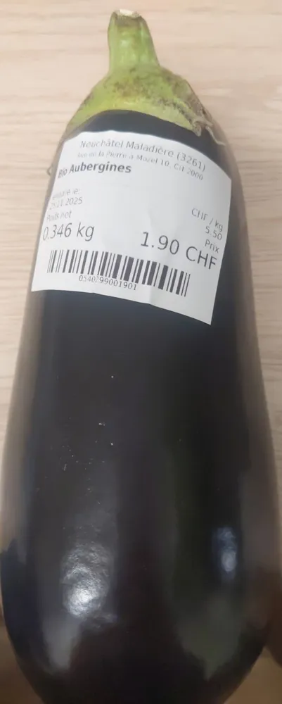 Aubergine bio